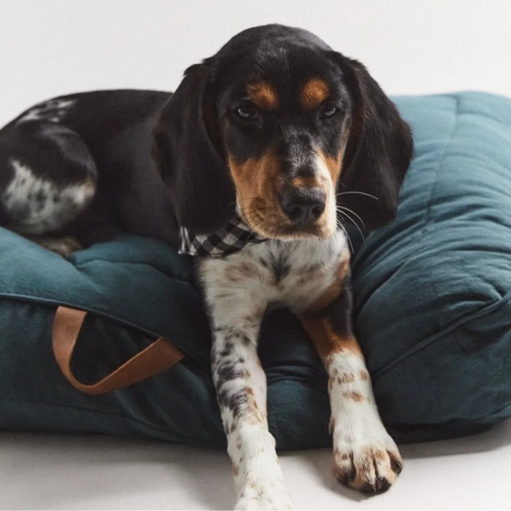 ZARA PET COLLECTION LARGE BED